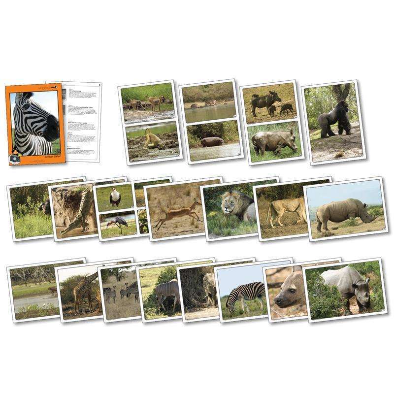 African Safari Photo Pack:Primary Classroom Resources