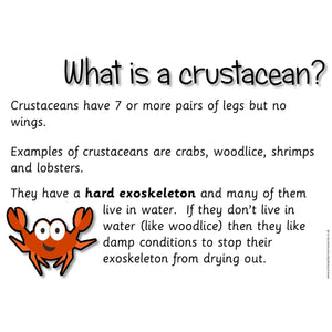 Descriptive image text