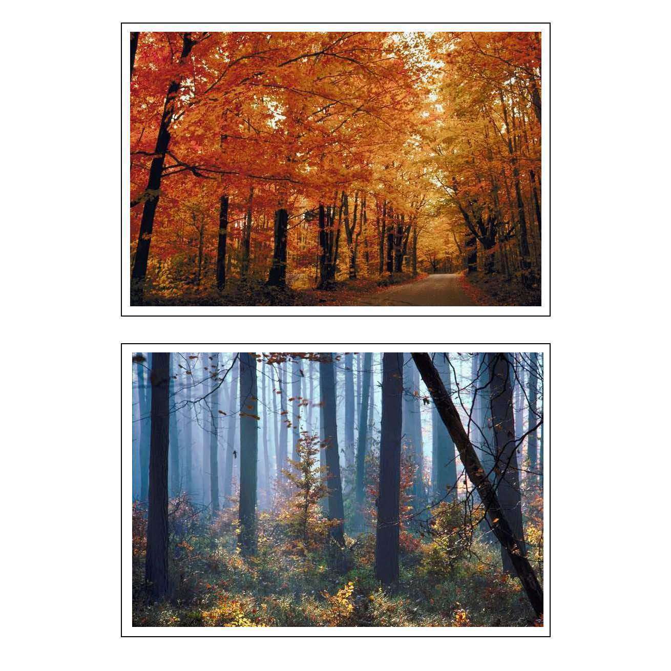 Autumn Photo Pack:Primary Classroom Resources