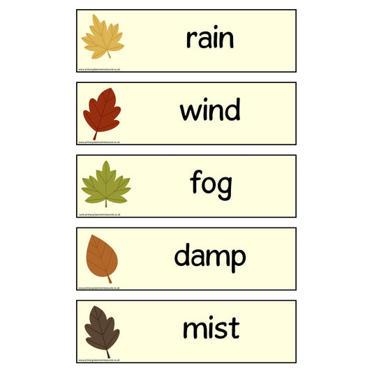 Autumn Vocabulary Cards:Primary Classroom Resources