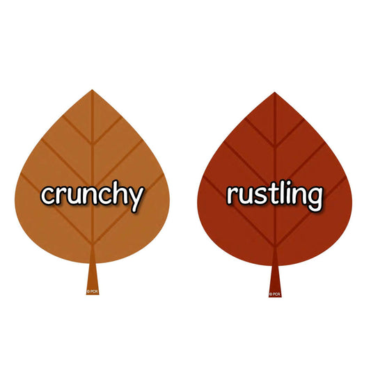 Autumn Vocabulary on Leaves:Primary Classroom Resources