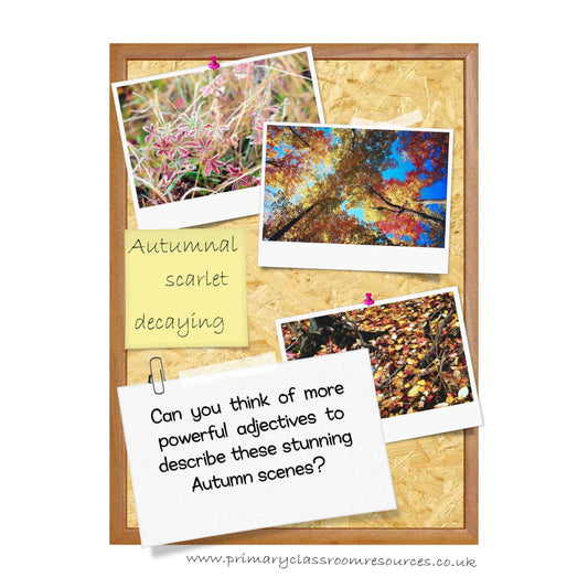 Autumn Vocabulary Pack:Primary Classroom Resources