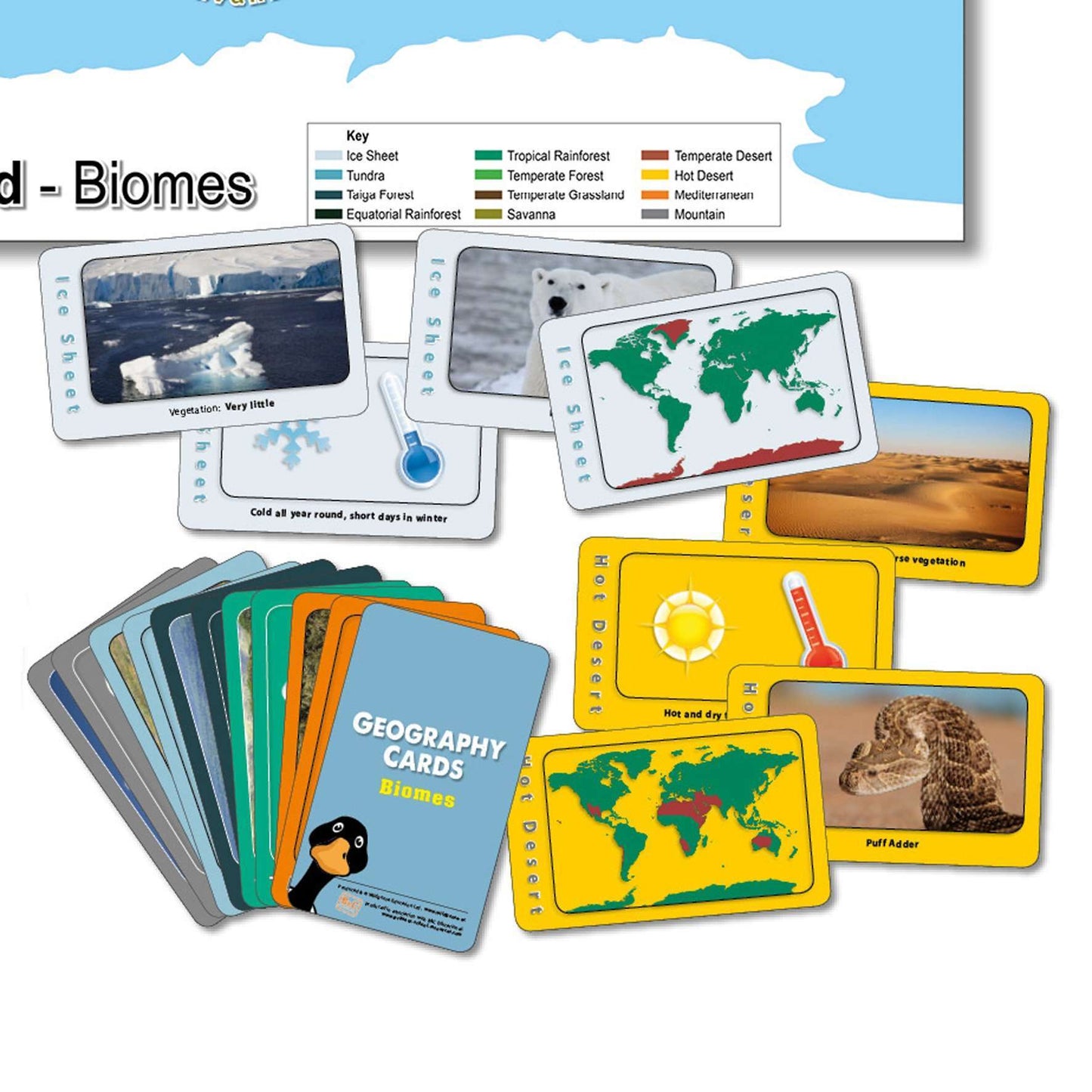 Biomes Card Game:Primary Classroom Resources