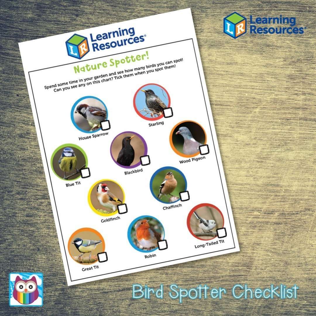 Bird Spotting Checklist:Primary Classroom Resources