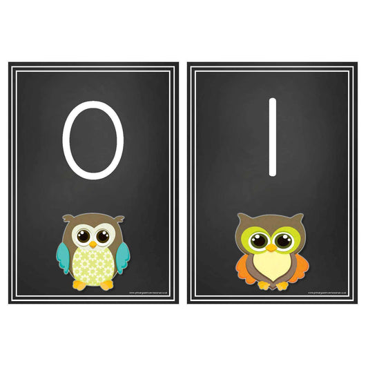 Blackboard Style Number Cards 0-20 Owl Theme:Primary Classroom Resources