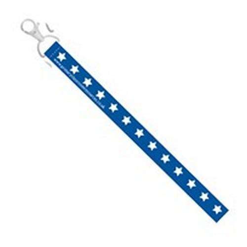 Blue Lanyard:Primary Classroom Resources