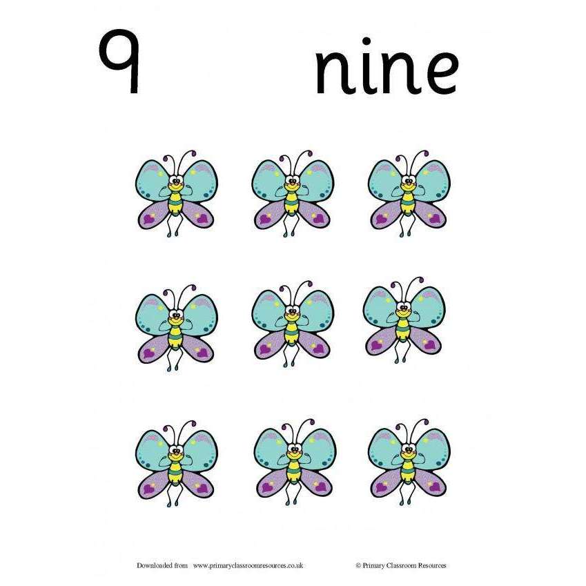 Butterfly Counting Cards:Primary Classroom Resources