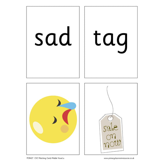 CVC Words Matching Cards -  Middle Vowel a:Primary Classroom Resources