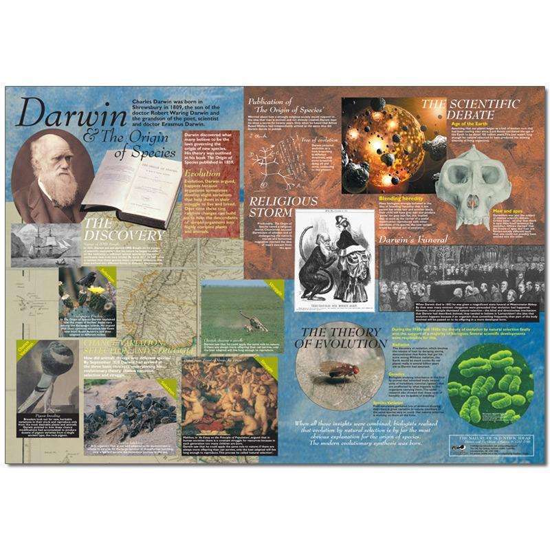 Darwin and The Origin of Species Poster:Primary Classroom Resources
