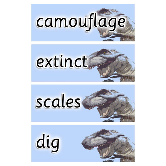 Dinosaur Vocabulary Flashcards:Primary Classroom Resources