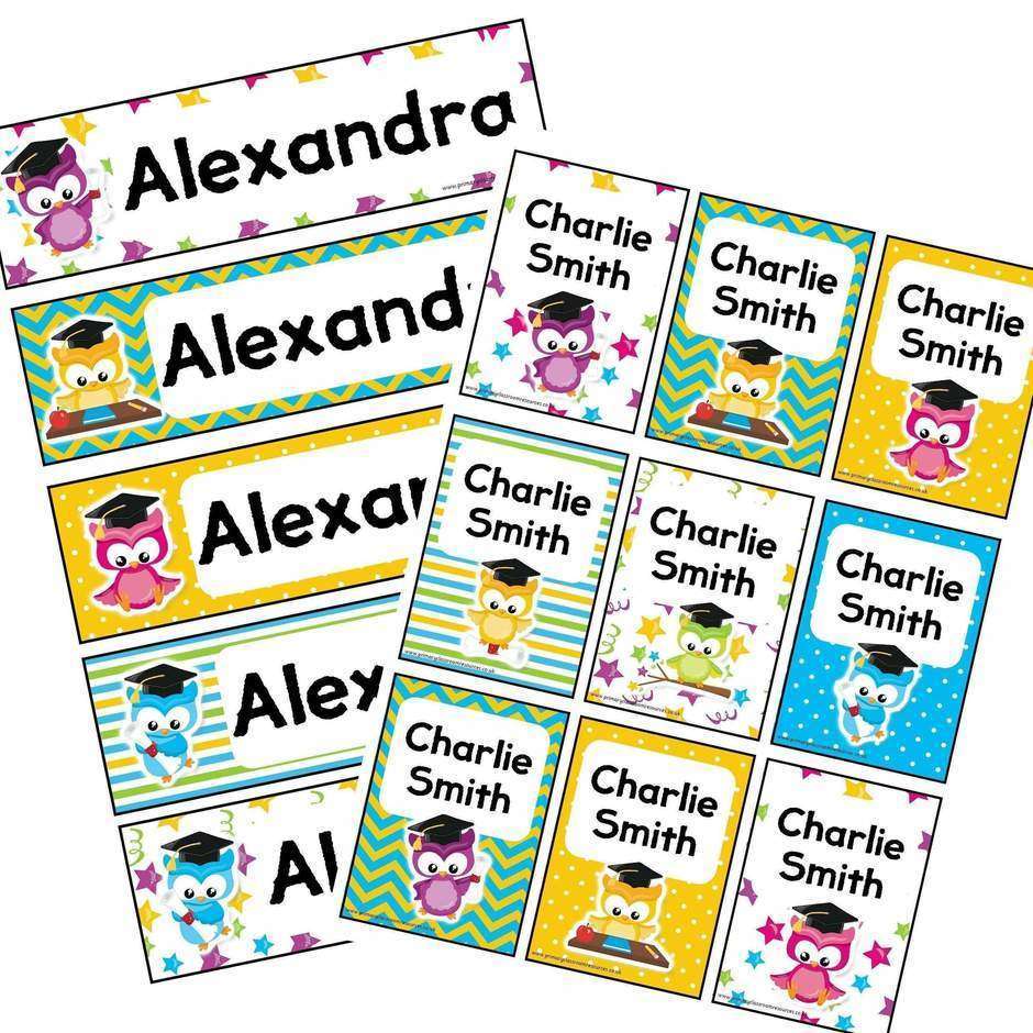 EDITABLE Name Tray & Coat Peg Labels - School Owl:Primary Classroom Resources
