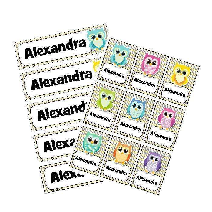 EDITABLE Name Tray & Coat Peg Labels Bundle:Primary Classroom Resources,Digital download / Colourful owl
