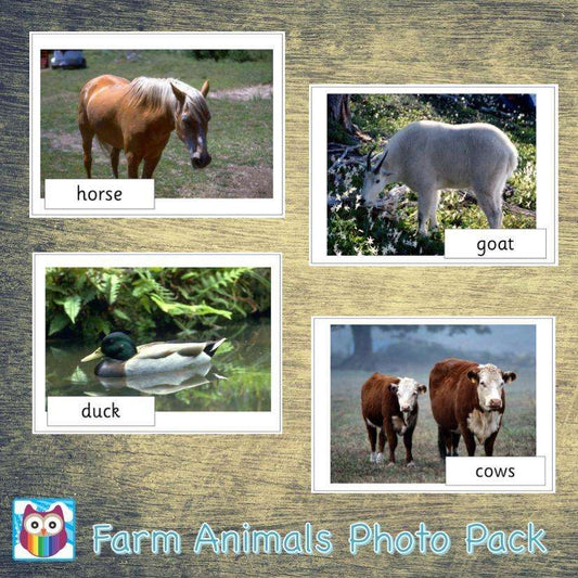 Farm Animals Photo Pack:Primary Classroom Resources,Digital download