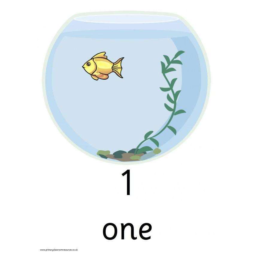 Fishbowls to 10:Primary Classroom Resources