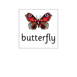 Descriptive image text