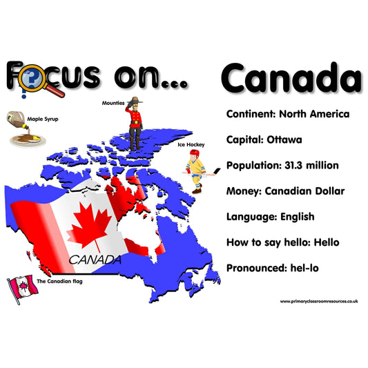 Focus On Set 1:Primary Classroom Resources