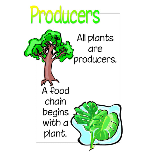 Food Chains Display Pack:Primary Classroom Resources