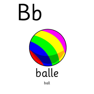 Descriptive image text