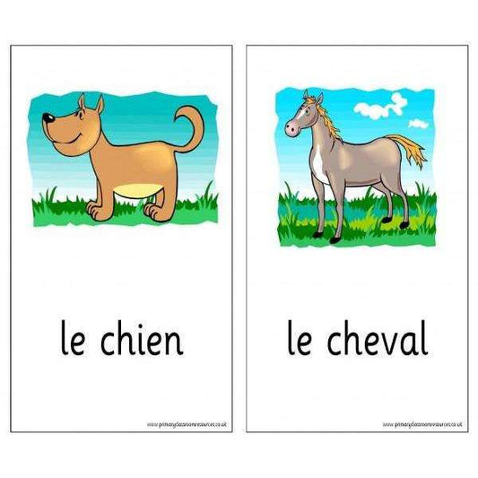 French Vocabulary Cards - Animals:Primary Classroom Resources
