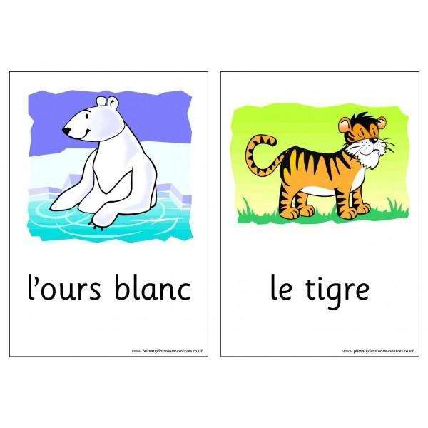 French Vocabulary Cards - Wild Animals:Primary Classroom Resources