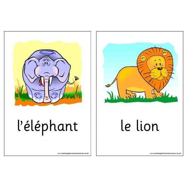 French Vocabulary Cards - Wild Animals:Primary Classroom Resources