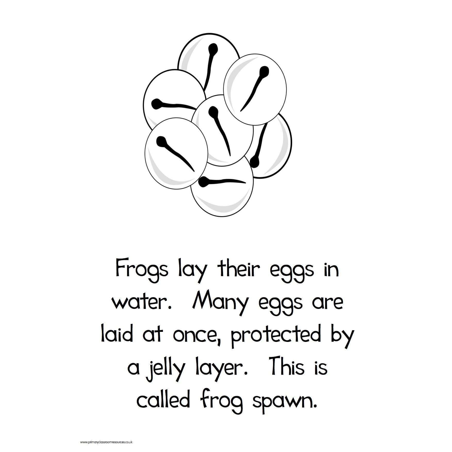 Frog Life Cycle Poster Pack:Primary Classroom Resources