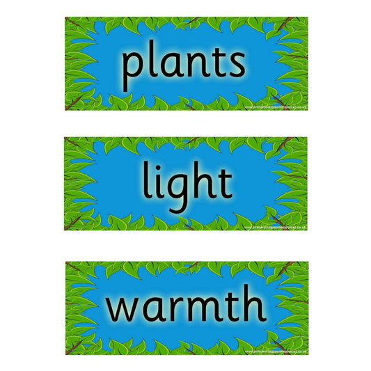 Helping Plants Grow Well Vocabulary Cards:Primary Classroom Resources