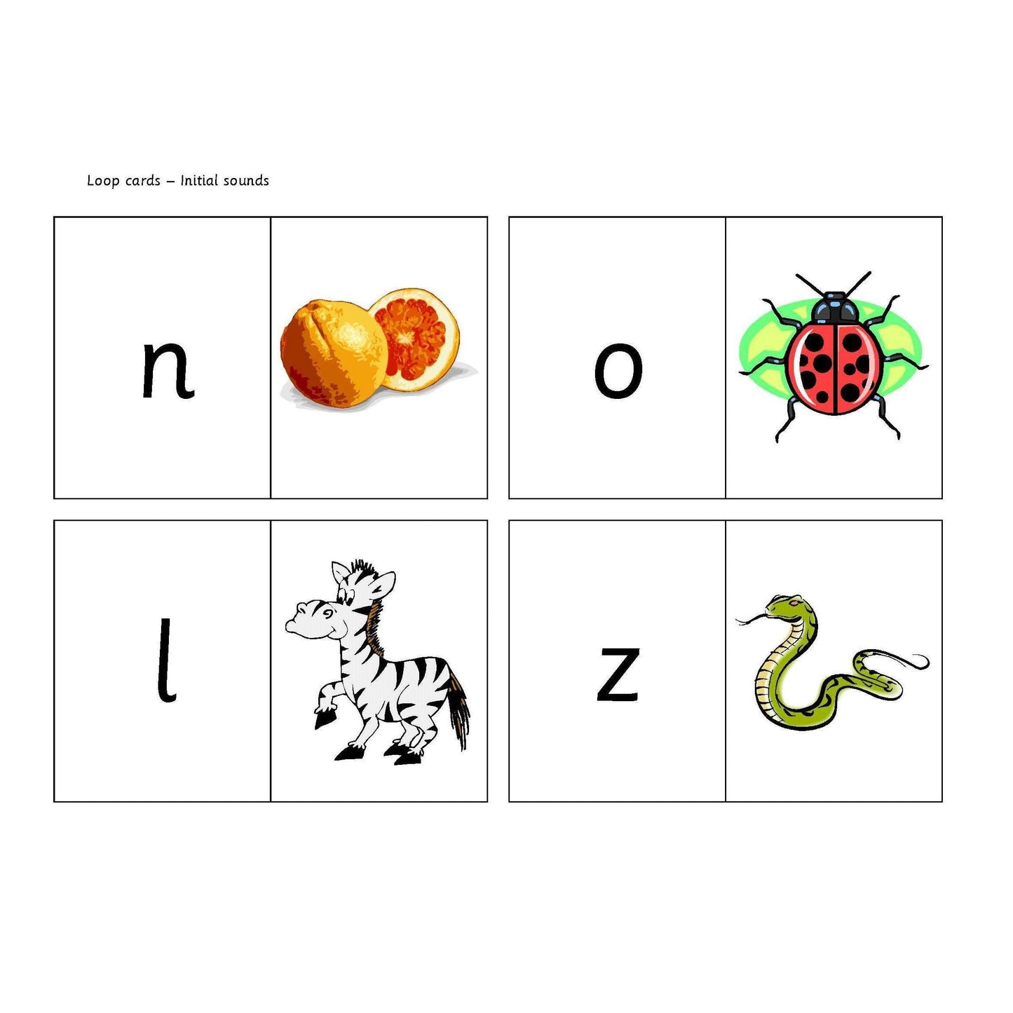 Initial Sounds Loop Cards:Primary Classroom Resources