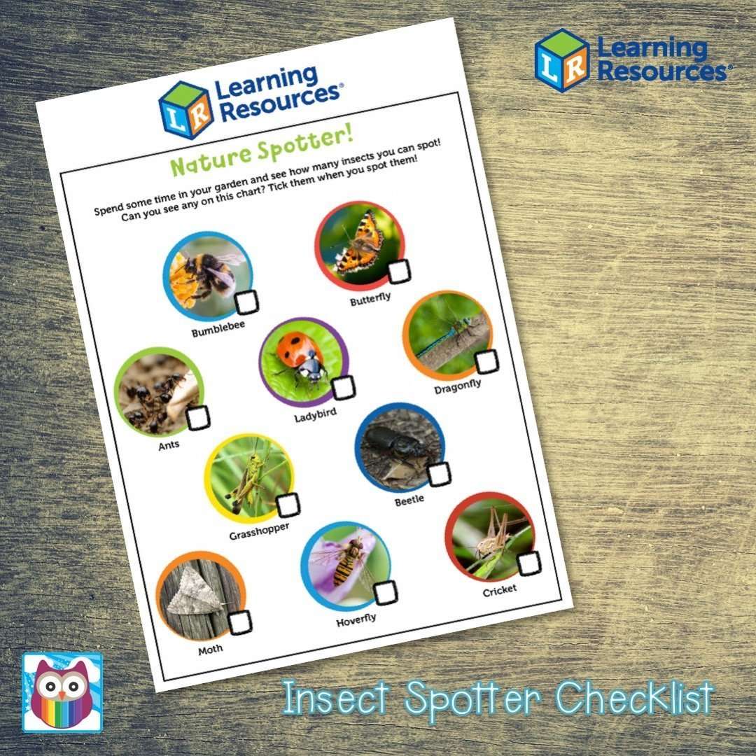 Insect Spotting Checklist:Primary Classroom Resources