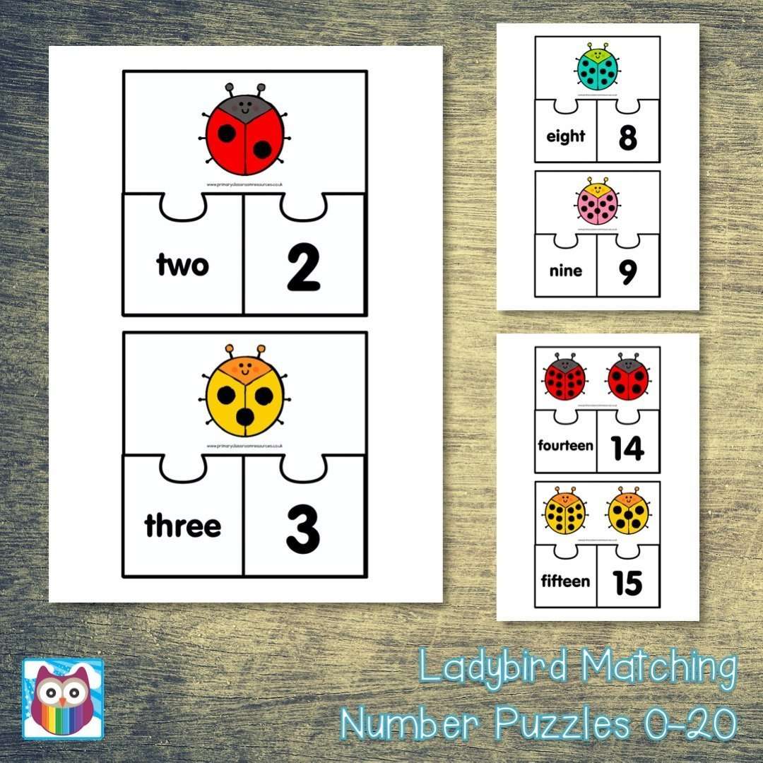 Ladybird Matching Number Puzzles 0 to 20:Primary Classroom Resources