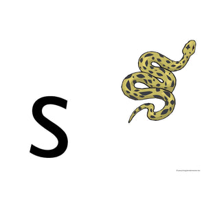 Descriptive image text