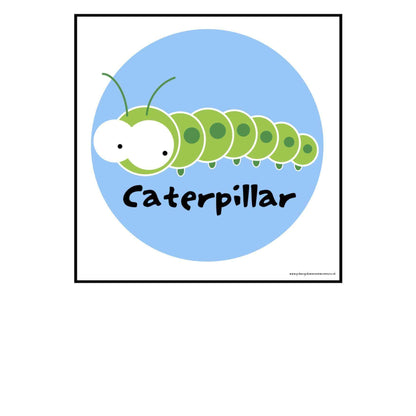 Life Cycle of a Butterfly Cards:Primary Classroom Resources