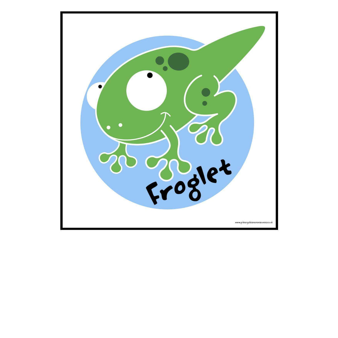 Life Cycle of a Frog Display Pack – Primary Classroom Resources