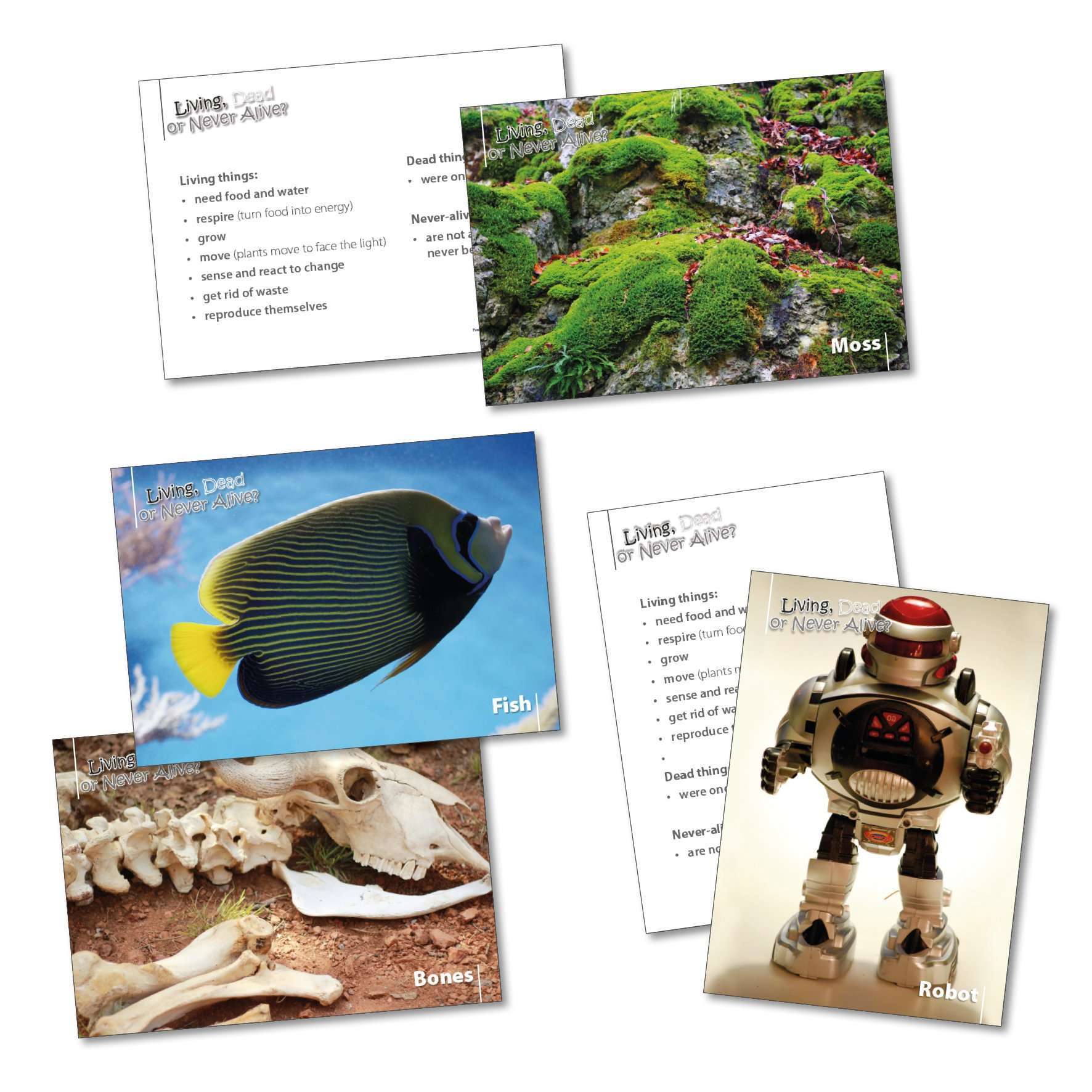 Living, Dead or Never Alive Sorting Cards:Primary Classroom Resources