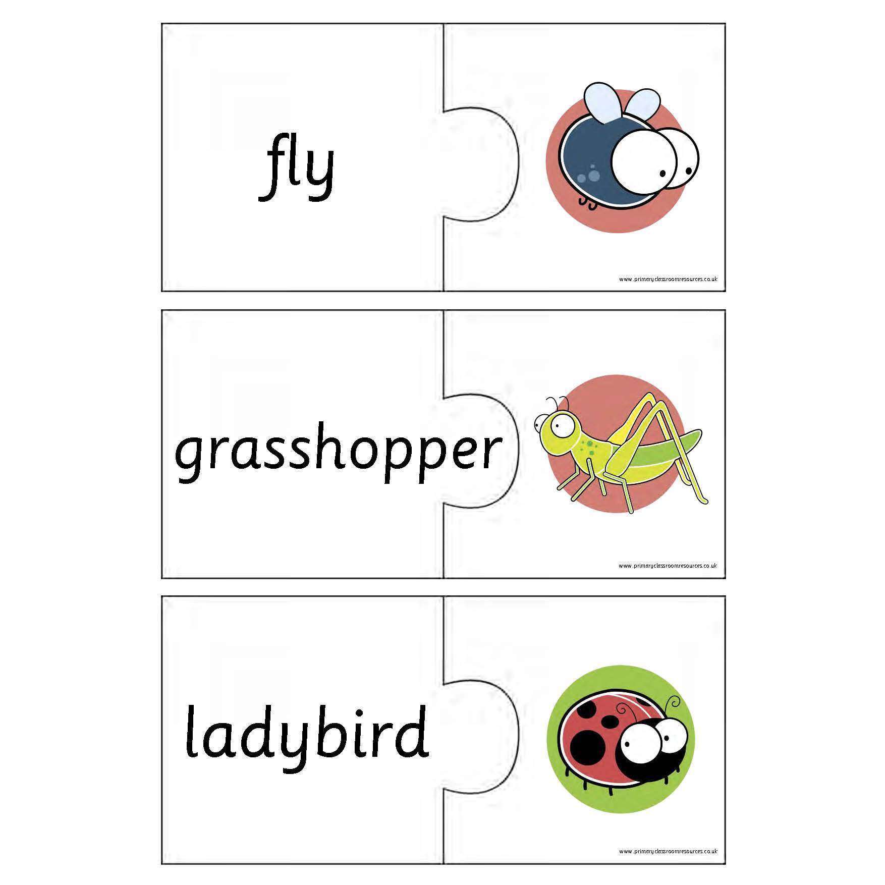 Minibeast Matching Jigsaws – Primary Classroom Resources