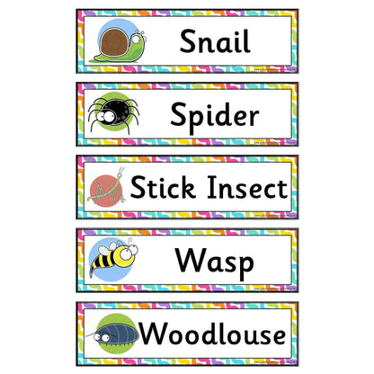 Minibeasts Flashcards:Primary Classroom Resources
