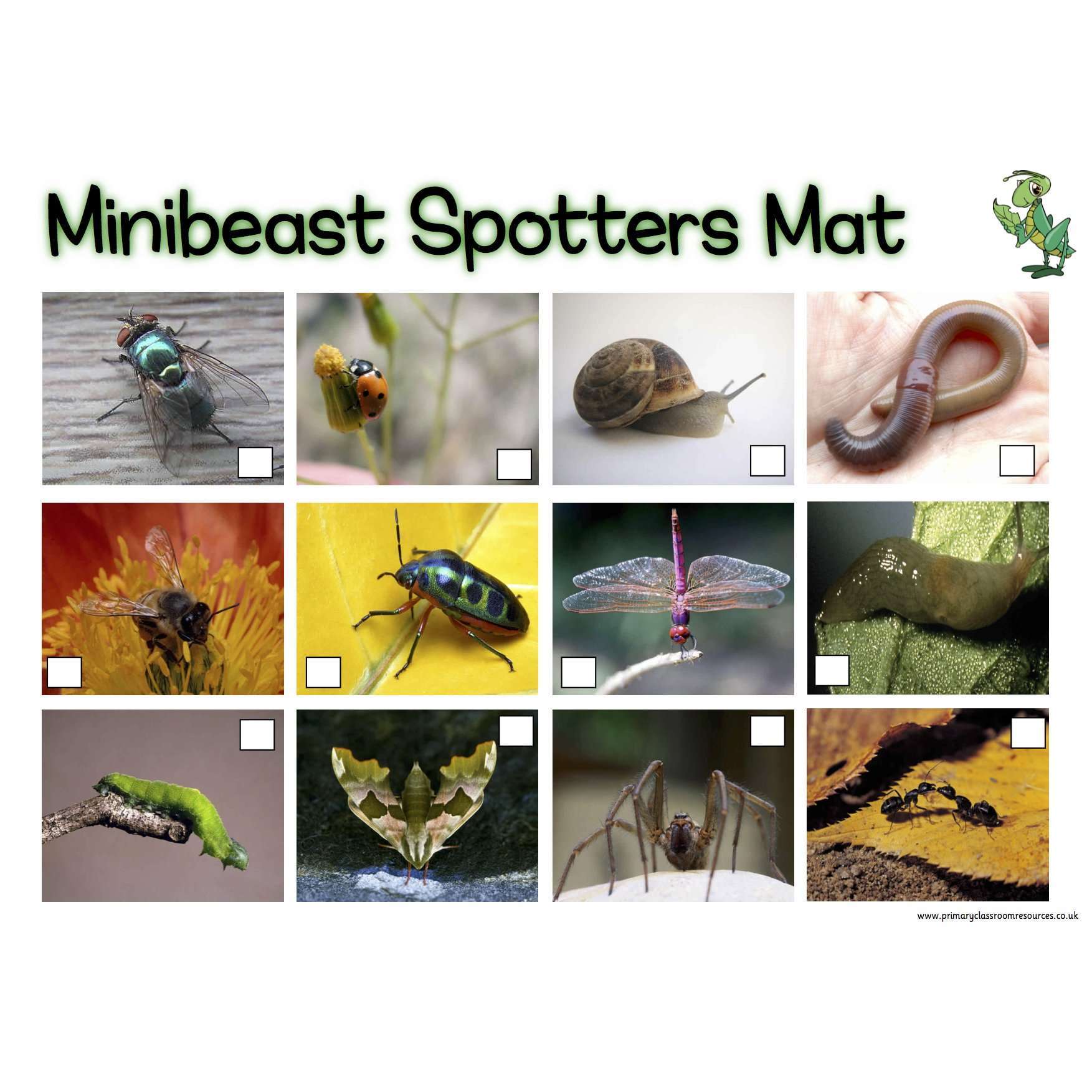 Insect Spotter Minibeasts Spotters Mat – Primary Classroom Resources