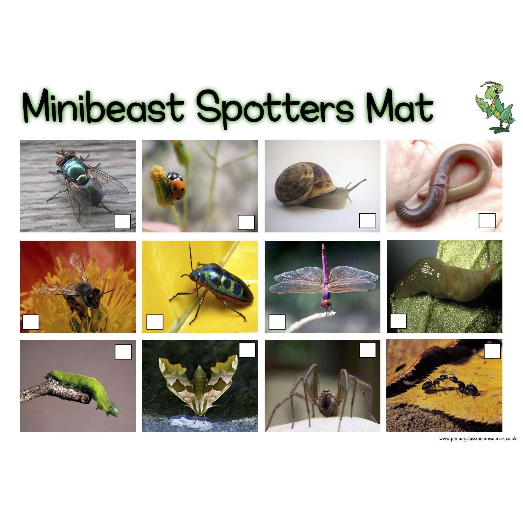Minibeasts Spotters Mat:Primary Classroom Resources