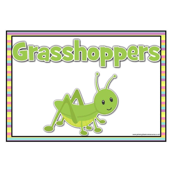 Minibeasts Table/Group Signs Primary Classroom Resources