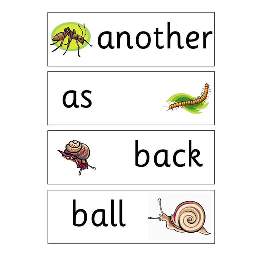 Minibeasts Year 1 and 2 Keywords:Primary Classroom Resources