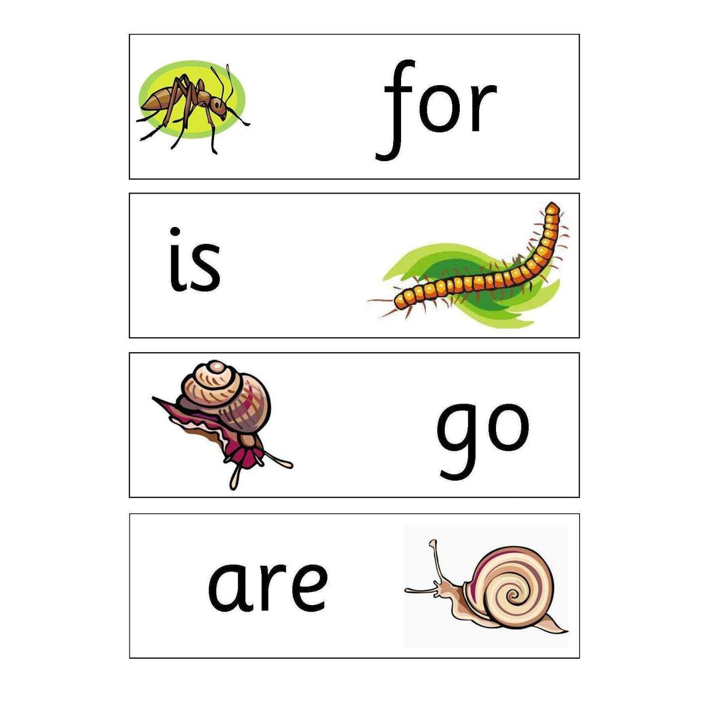Minibeasts Year 4 Keywords:Primary Classroom Resources