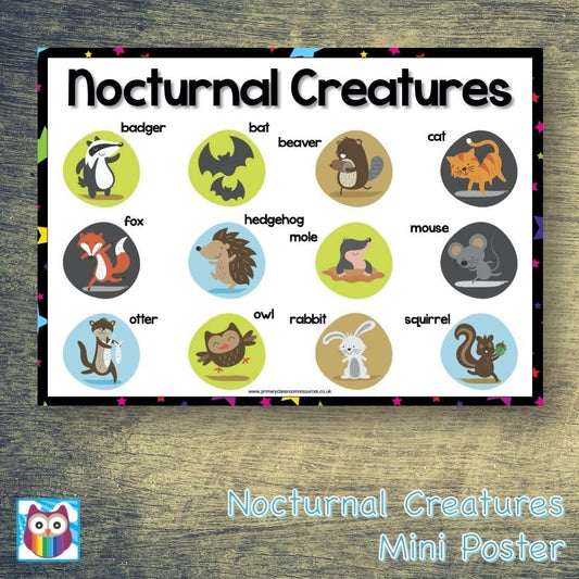 Nocturnal Creatures Mini Poster/Help Mat:Primary Classroom Resources