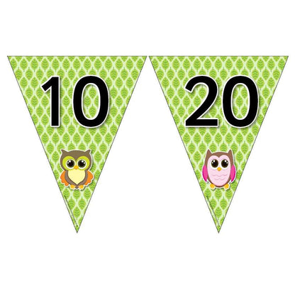 Owl Number Bunting - Counting in 10s and 100s:Primary Classroom Resources