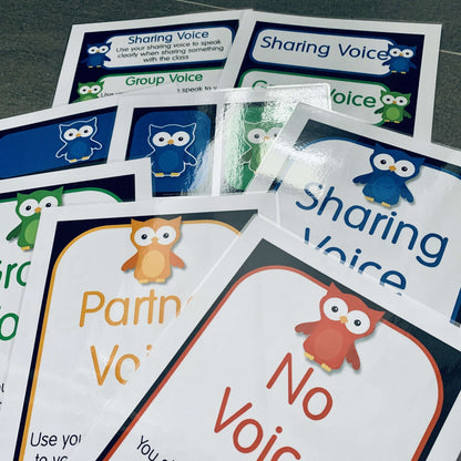 Owl Themed Classroom Voice Manager Poster Set:Primary Classroom Resources