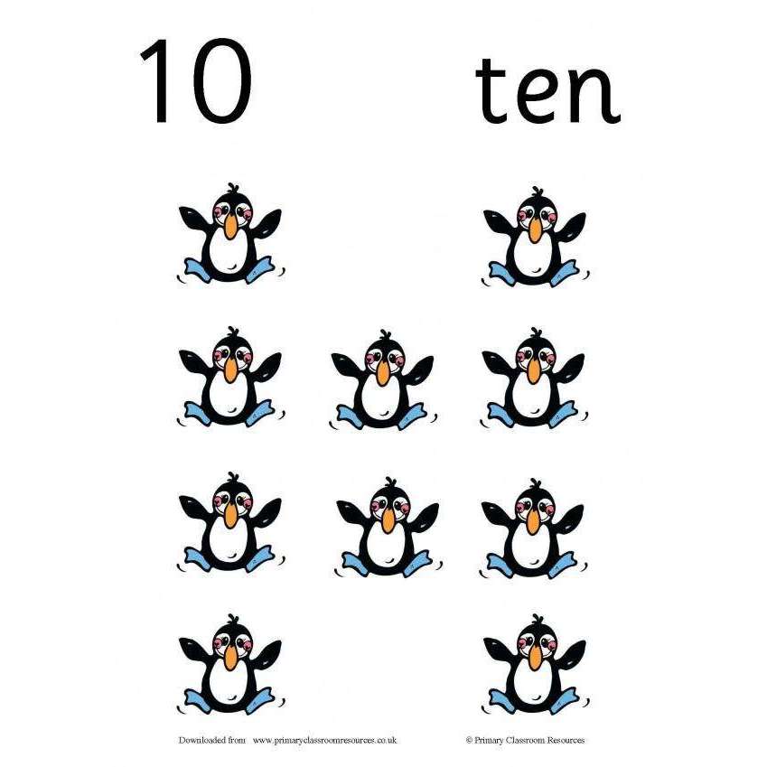 Penguin Counting Cards:Primary Classroom Resources