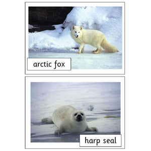 Descriptive image text