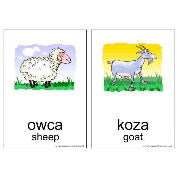 Polish Vocabulary Cards - Animals:Primary Classroom Resources