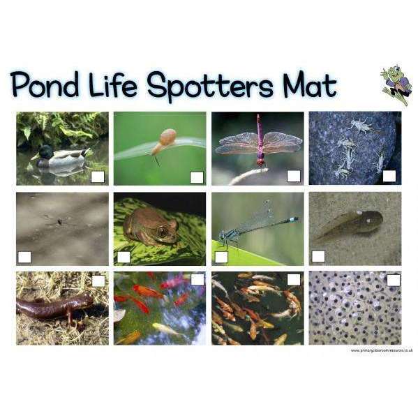 Pond Life Spotters Mat:Primary Classroom Resources