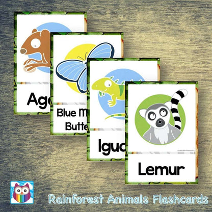 Rainforest Animals Large Flashcards:Primary Classroom Resources