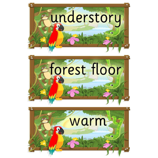 Rainforest Themed Vocabulary Cards:Primary Classroom Resources